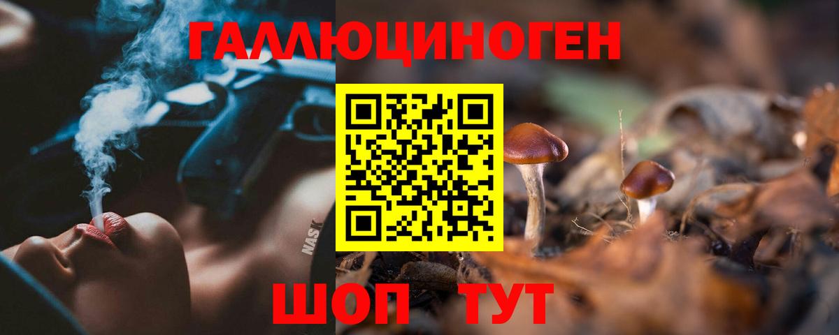 Галлюциногенные грибы Psilocybine cubensis Тверь